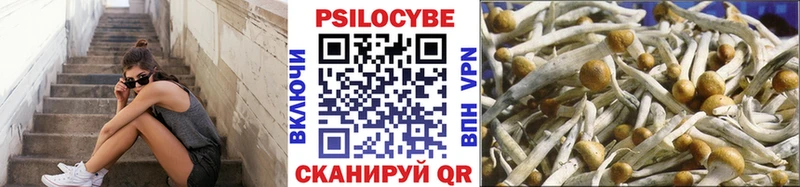 Псилоцибиновые грибы Psilocybine cubensis  магазин продажи   Сосновый Бор 