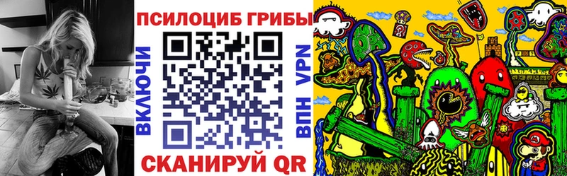Галлюциногенные грибы мицелий Сосновый Бор